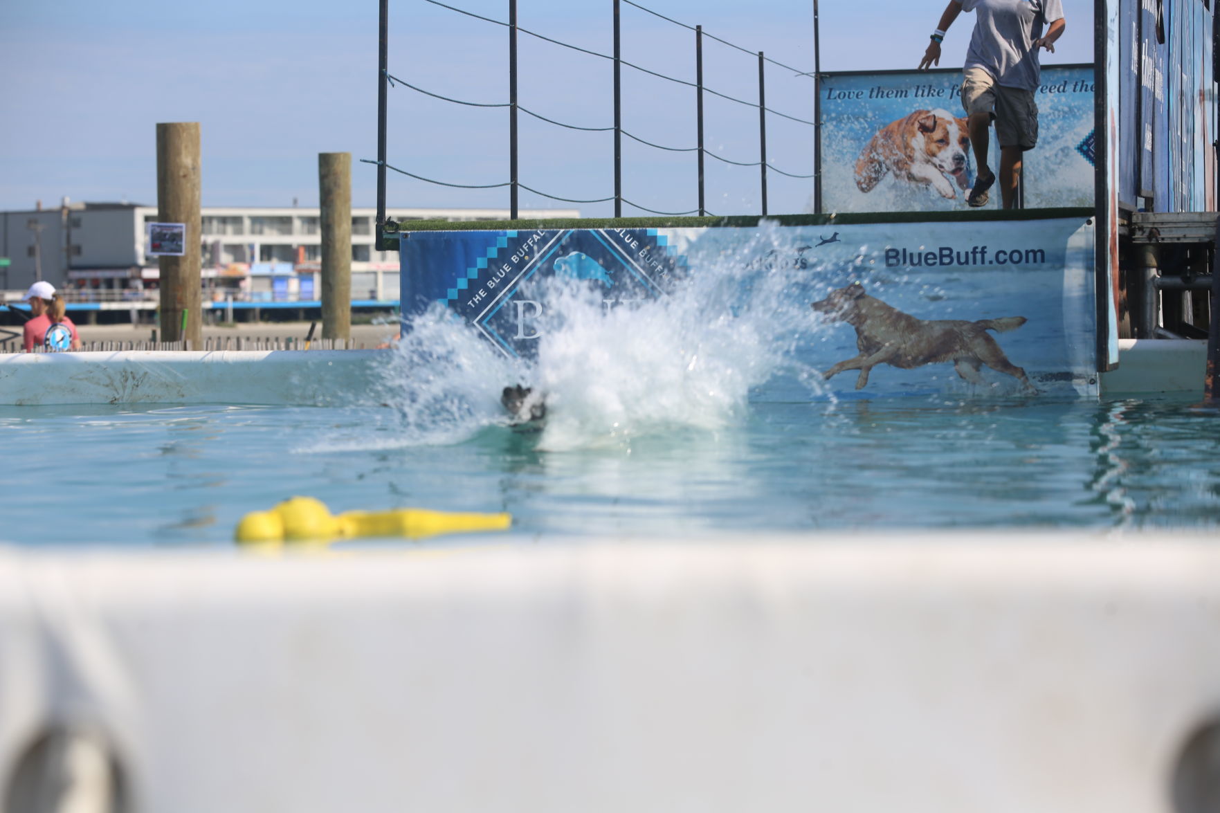 090919_gal_dockdogsWW (25)